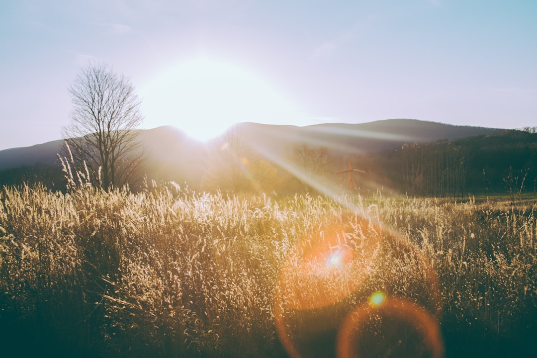 Energy and Vitality After 50: 5 Simple Daily Habits That Work